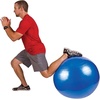 image:imageGoFit Stability BallBlue